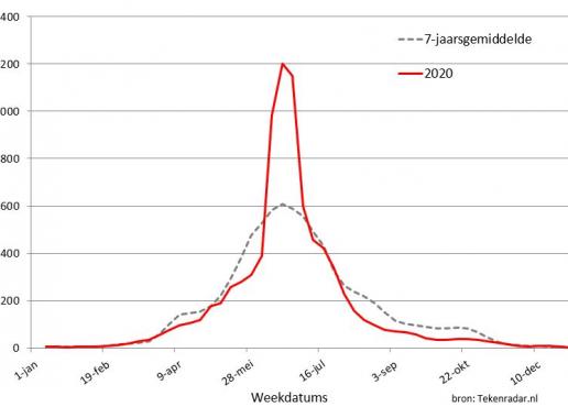 Overzicht van aantal tekenbeetmeldingen in 2020 met sterke piek in juni