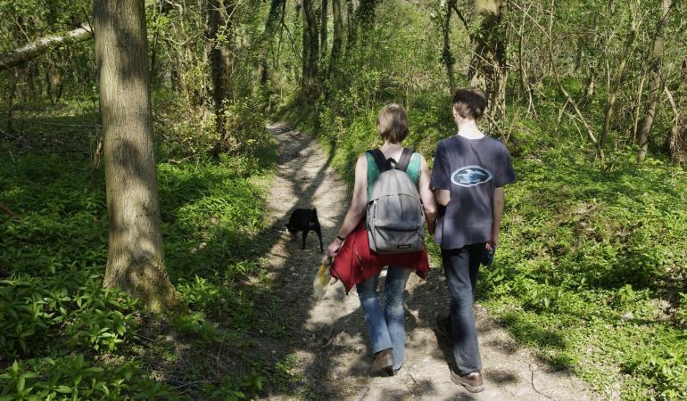 Teken bijten bij kinderen vaak op het hoofd en in de nek. Het gaat om 32% van alle beten, vergeleken met 3% bij de volwassenen.